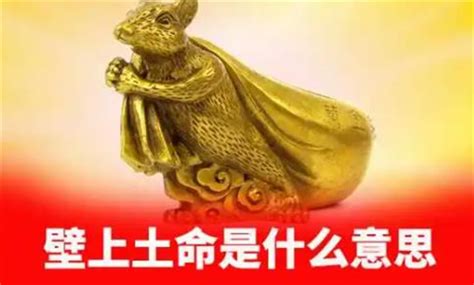 饿土命|《五行》·饿土命，什么是饿土命？ 